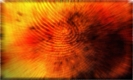 fingerprint