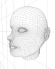 girls-face-drahtgitter